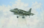 Click to view Harrier GR7.jpg